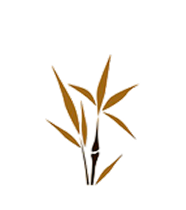 Captura de pantalla 2025 11 07 a las 18.10.48 1 Photoroom 2